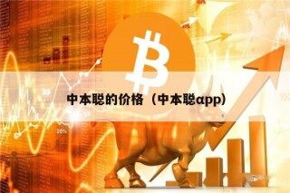 中本聪的价格（中本聪αpp）